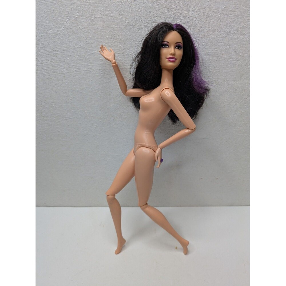 Raquelle Barbie Doll Pets Fashionistas Dreamhouse Purple Hair 2012 X2278 12 Pt